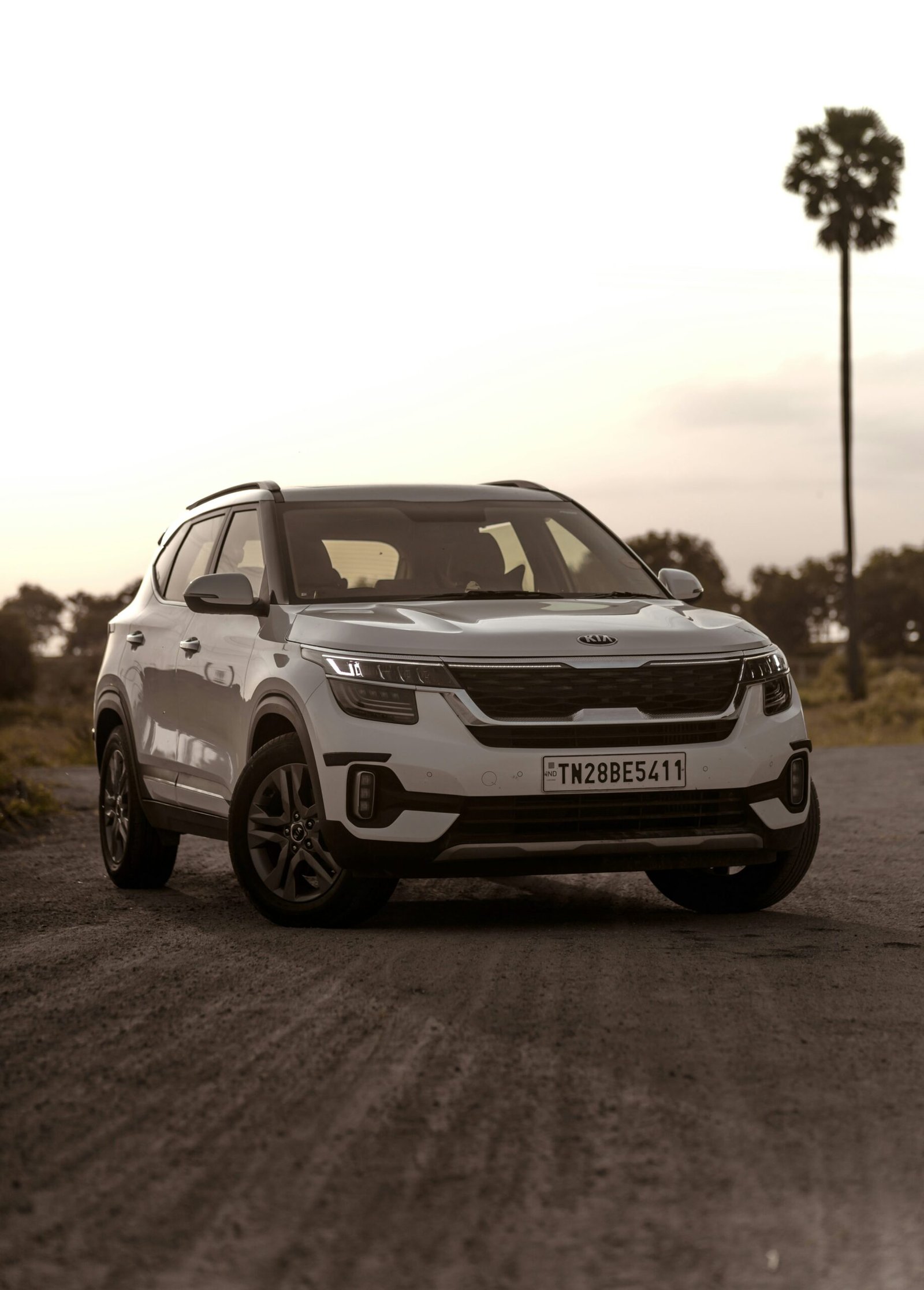 photo 1625037669075 e5472e080265