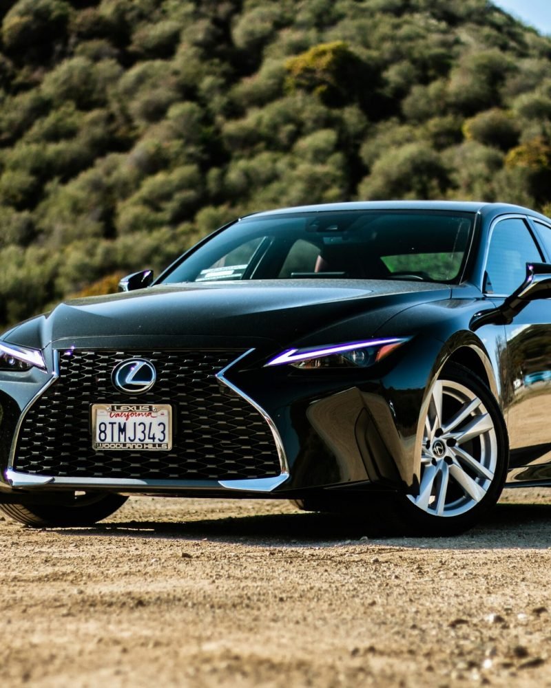 photo 1615106806531 183c31fccfdc